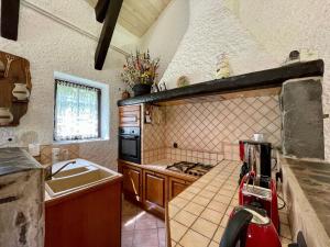 Maison isolée, au cœur des volcans, terrain clos, jeux, confort, cheminée, proche forêts et villages. - FR-1-582-285