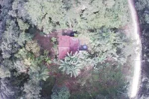 Chácara na Mata Atlântica - Pôrto de Cima