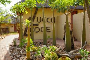 Lucca Lodge