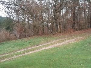 Maison de campagne tout confort avec jardin, à 15 min dÉpinal, idéale pour familles et randonneurs - FR-1-589-372