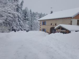 Gîte élégant en pleine nature avec terrasse, départ randonnées, parking privé et équipements inclus - FR-1-589-384