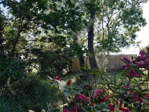 Maisons de vacances Gite Sallertaine, 2 pieces, 2 personnes - FR-1-426-487 : photos des chambres