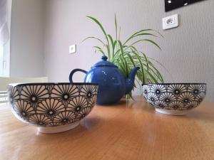 Charmant Gîte Rénové avec Sauna en Haute-Loire, Parfait pour Randonnées et Repos - FR-1-582-344