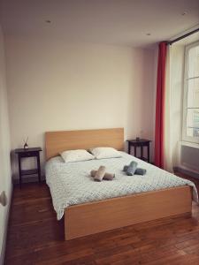 Appartements Le jardin de l'arbre sec + parking, proche chateau. : photos des chambres