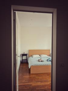 Appartements Le jardin de l'arbre sec + parking, proche chateau. : Appartement 1 Chambre