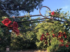 Petite maison de charme avec piscine et pins centenaires