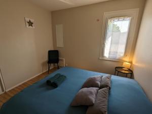 Maisons de vacances Gite Ouzouer-sur-Loire, 5 pieces, 8 personnes - FR-1-590-281 : photos des chambres