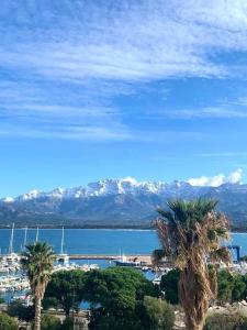 Appartements Superbe appartement vue mer - terrasse et parking : photos des chambres