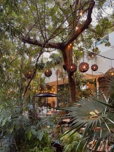 Unique stay in Playa - Walk to beach + 5th Avenue