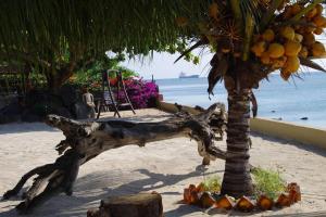 Belle villa , pieds dans leau avec piscine