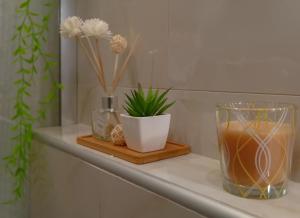 Moon Haven Near Acropolis with 100Mbps WiFi