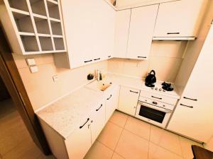 Apartament z ogrodem w sercu Torunia