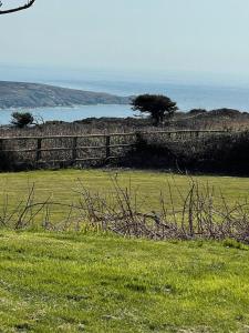 The Little Coastal Hideaway with Stunning Sea Views and Garden