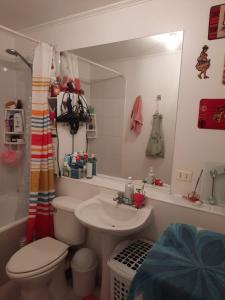 Comparto Depto. en La Cisterna ( hermoso y cómodo, cómo en casa)