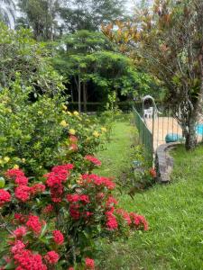 Apart em Miguel Pereira