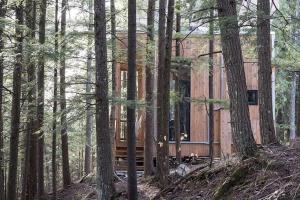Cabin Zoobox 66