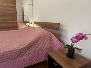 Apartments Comfort Petrovac - Kruševica