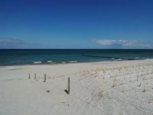 Kranich-Kate, exclusive Reet-Doppelhaushälfte für 6 Personen in Zingst