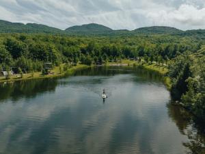 Cabin Zoobox des cervidés