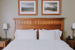 King Room with King Bed - Non-Smoking room in Hampton Inn & Suites Green River