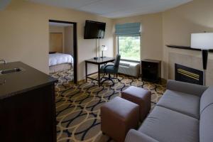 One-Bedroom King Suite with Fireplace - Non-Smoking  room in Hampton Inn Harrisburg/Grantville/Hershey