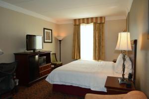 King Suite with Sofa Bed - Non-Smoking room in Hampton Inn and Suites Houston-Katy