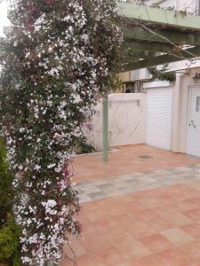 Terpsi Apartments Messinia Greece