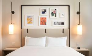 King Suite with Sofa Bed and Kitcthen room in Serena Hotel Aventura Tapestry Collection By Hilton