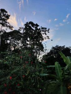 Villa Canto de la Luna