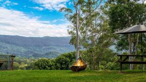 Byron Bay Hinterland Treasure