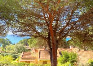 Villa Federica: Natura e Mare