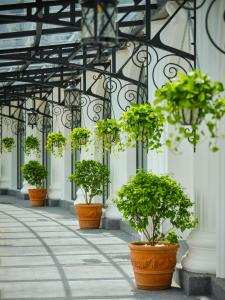 Silk Path Grand Hue Hotel