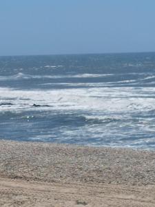duplex de luxo haut standing bord de plage avec piscine privée chauffée intérieurs