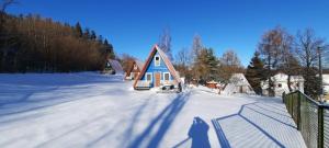 Kolorowe Wzgórze Zagórze