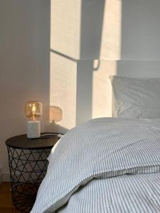 Luxury 2 bedroom apartment in the heart of Ostend