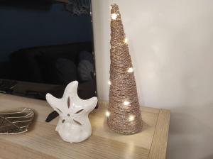 résidence hyper centre parking indigo inclus à 50m