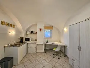 Tiny central studio apartment Nika Ljubljana - 戈雷尼斯卡地区采尔克列