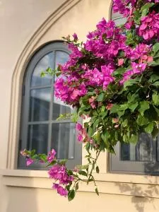 La Mer Villa - Bình Sum