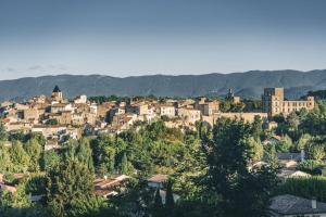 Maisons de vacances Luberon Large House 4 bedrooms : photos des chambres