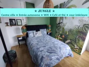 Appartement T2 "JUNGLE" Centre Ville de VITRÉ au calme coté cour - Argentré-du-Plessis