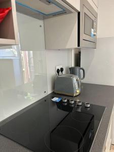 Stunning 1-bedroom annexe flat with own entrance near London