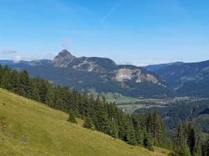 Haus Peintner