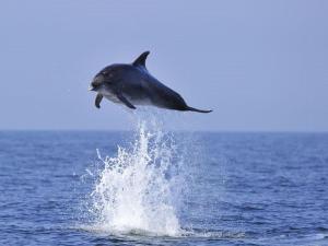 Appartement 2 pièces RDC avec terrasse, climatisation et parking proche plage et commerces - FR-1-307-127