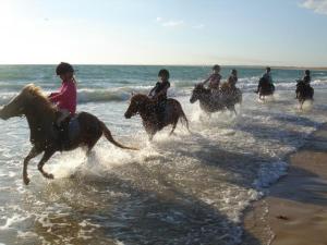 T2 RDC avec Terrasse Sud, 4 Pers, Parking - FR-1-307-187