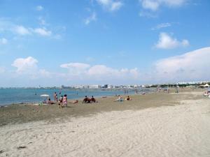 Superbe 2P cabine climatisé avec loggia et grande terrasse, piscines, proche plage au Grau-du-Roi - FR-1-307-105