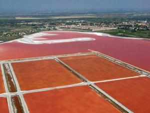 Appartement 2 pièces cabine rénové, RDC, terrasse 25m², piscines, à 400m de la plage, tout confort - FR-1-307-125