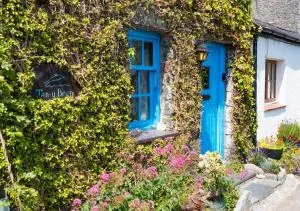 Tan Y Bryn - Llansantffraid