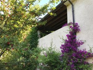 Agriturismo Ca Poldo