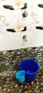 Hornbill inn