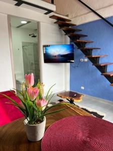 apartaestudio salento 6